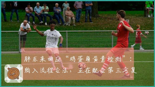 胖东来回应“鸡蛋角黄素检测”：购入流程合法，正在配合第三方复检与市场监管调查